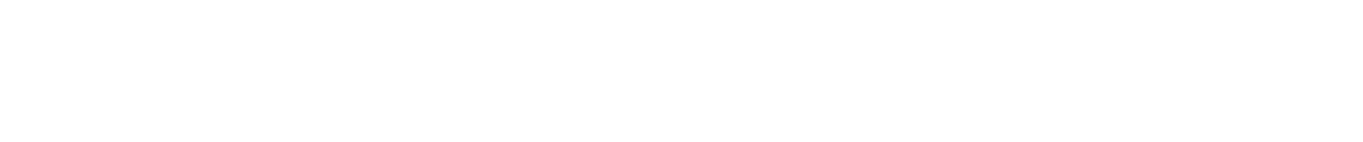 VISION